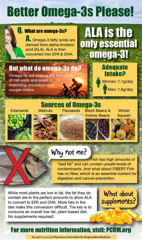 vegan omega 3 diet plan